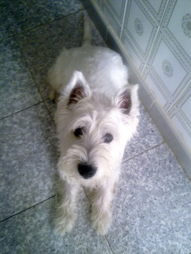 De pose :)